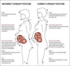 posture pregnancy low back pain
